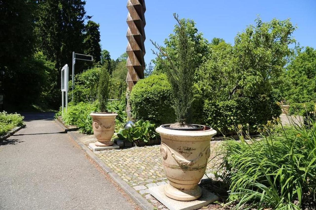 Villa Hedwig Badenweiler Exteriör bild